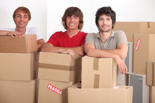 Packing boxes and furniture for a Hook relocation